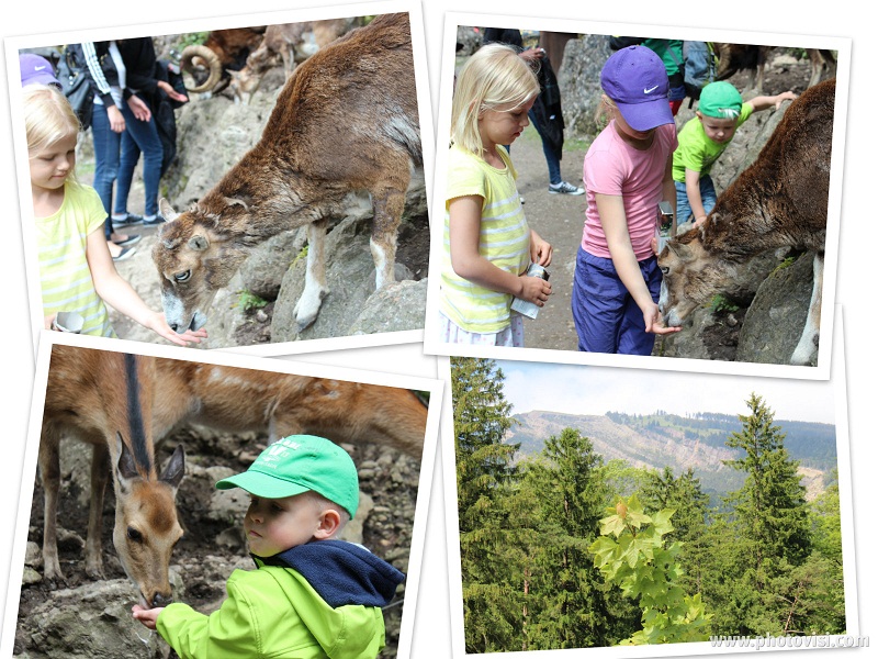 Tierpark Goldau