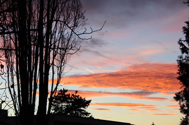 Morgenhimmel over Binningen
